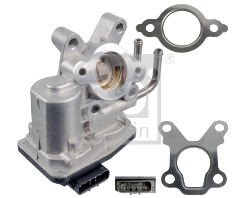 EGR Valve